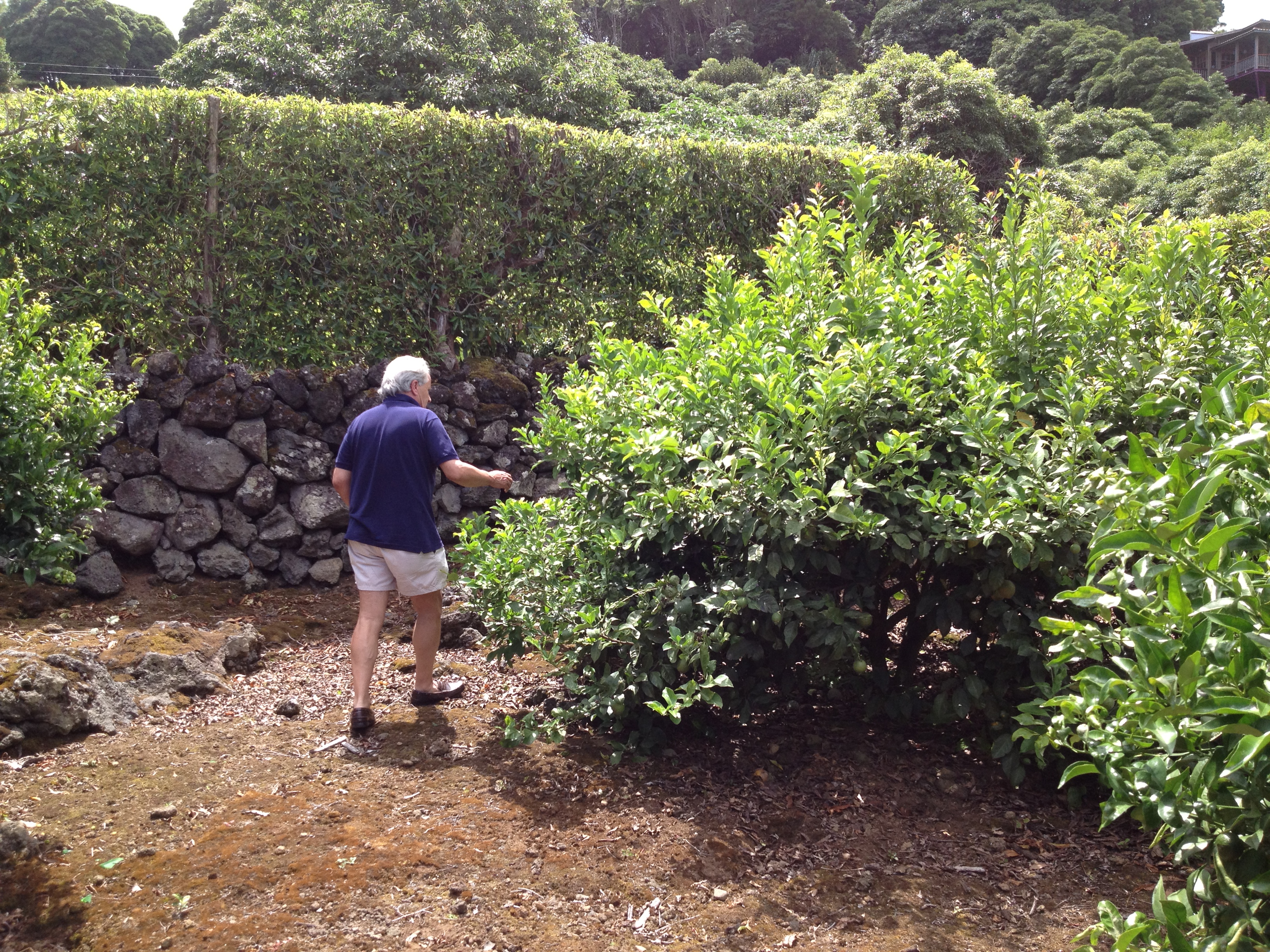 Aventuras do Dr Fagundes